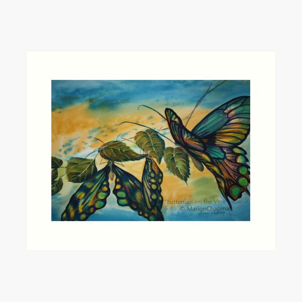 Watercolour: Butterflies on the Vine Art Print