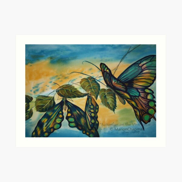 Watercolour: Butterflies on the Vine Art Print