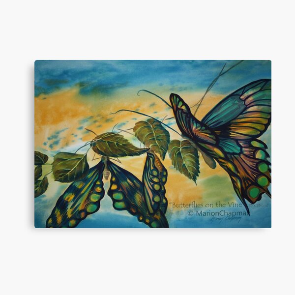 Watercolour: Butterflies on the Vine Canvas Print