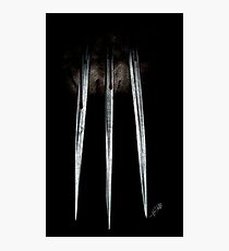 Logan III Photographic Print