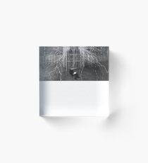 Nikola Tesla Acrylic Block