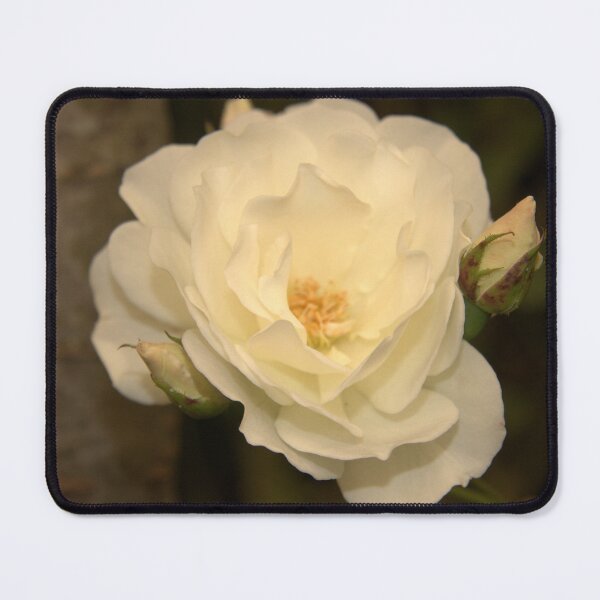 Item preview, Iceberg designed and sold by coffeebean.