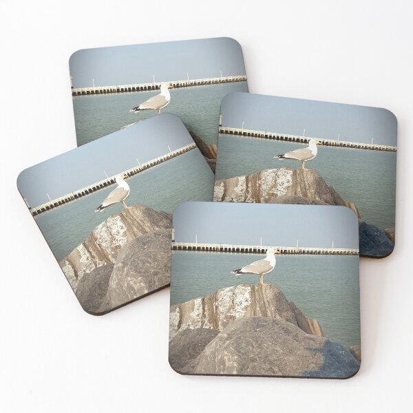 Item preview, Seagull designed and sold by pandamis.