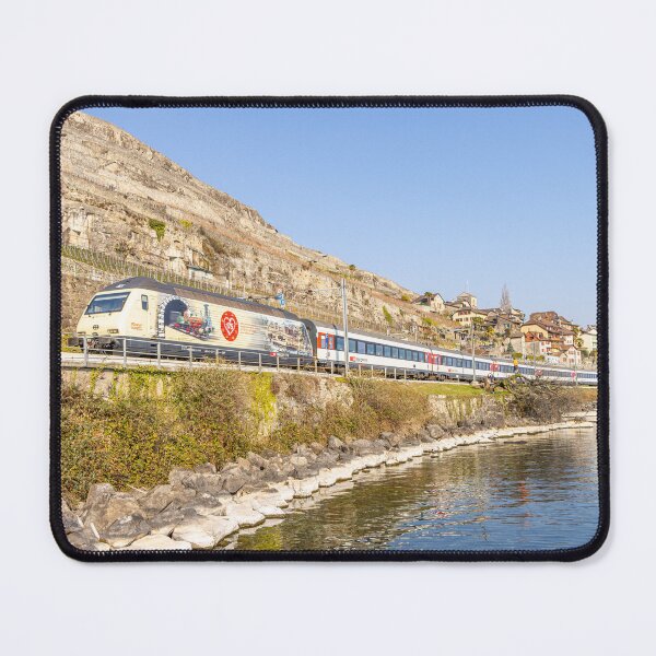 Item preview, Swiss Railways Re 460 019 175 designed and sold by SwissOnTracks.