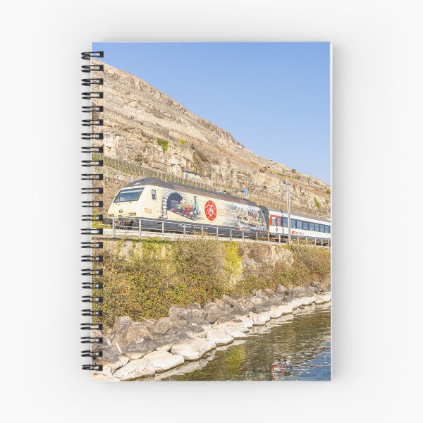 Artikelvorschau, SBB Re 460 019 175 entworfen und verkauft von SwissOnTracks.