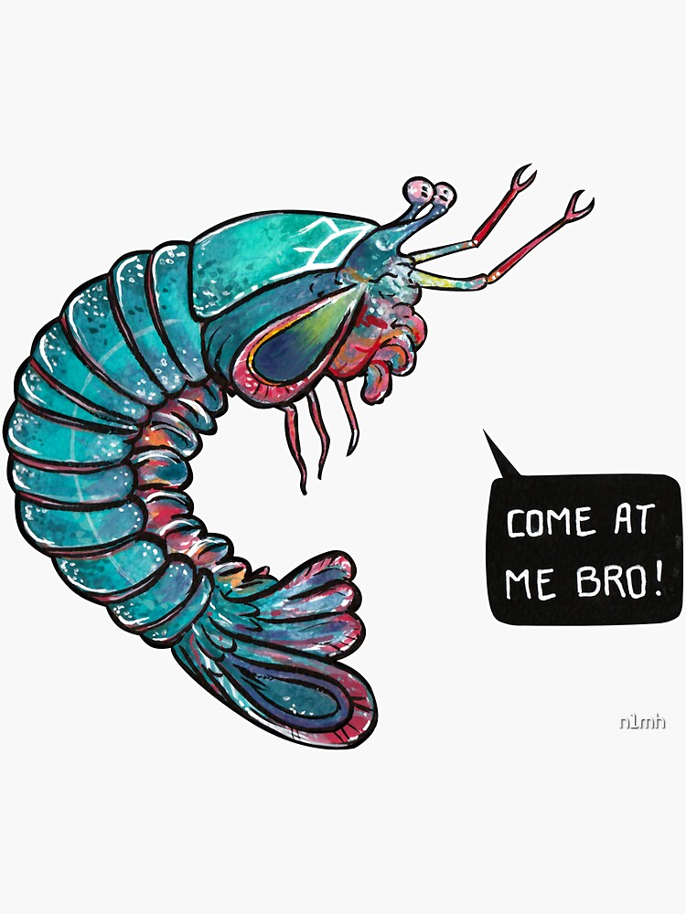 temperamentvolle kleine Meerestiere.
Klicken Sie hier für eine Version ohne Text:
https://www.redbubble.com/people/n1mh/works/25669670-mantis-shrimp von n1mh