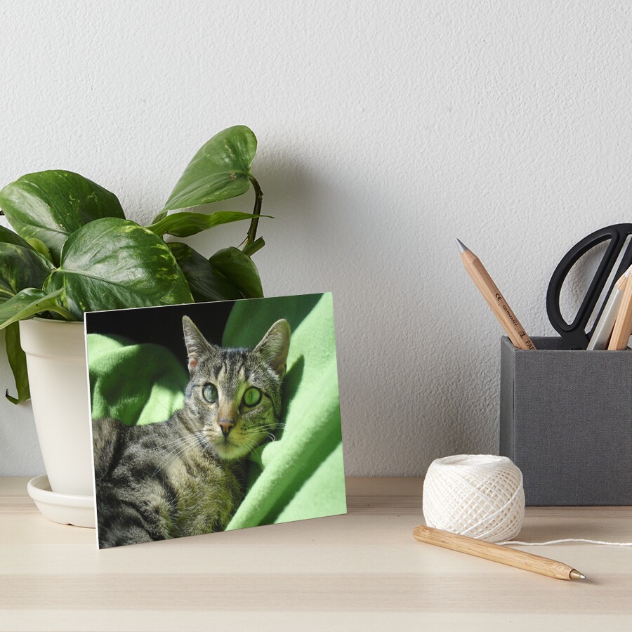 Item preview, Art Board Print designed and sold by pandamis.