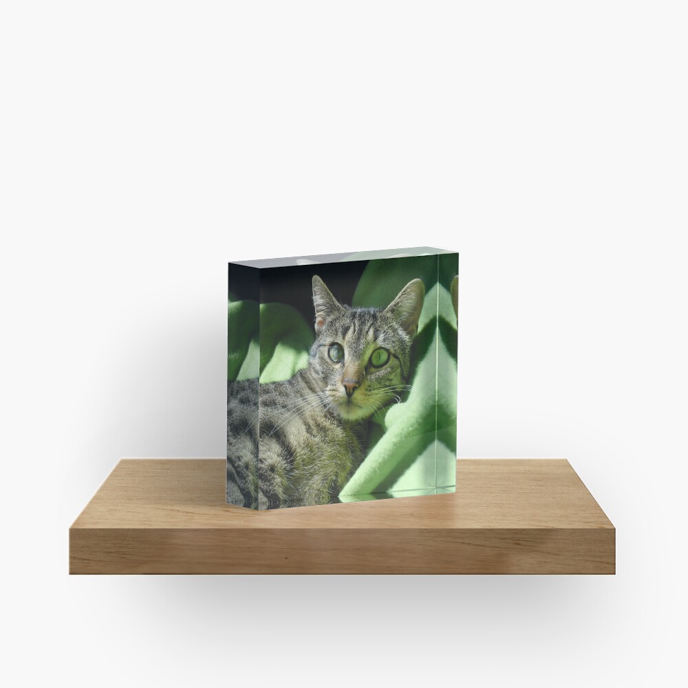 Item preview, Acrylic Block designed and sold by pandamis.