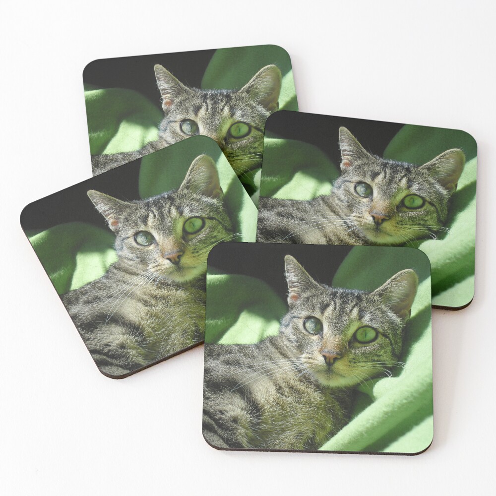 Item preview, Coasters (Set of 4) designed and sold by pandamis.