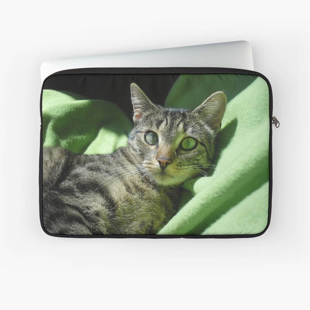 Item preview, Laptop Sleeve designed and sold by pandamis.