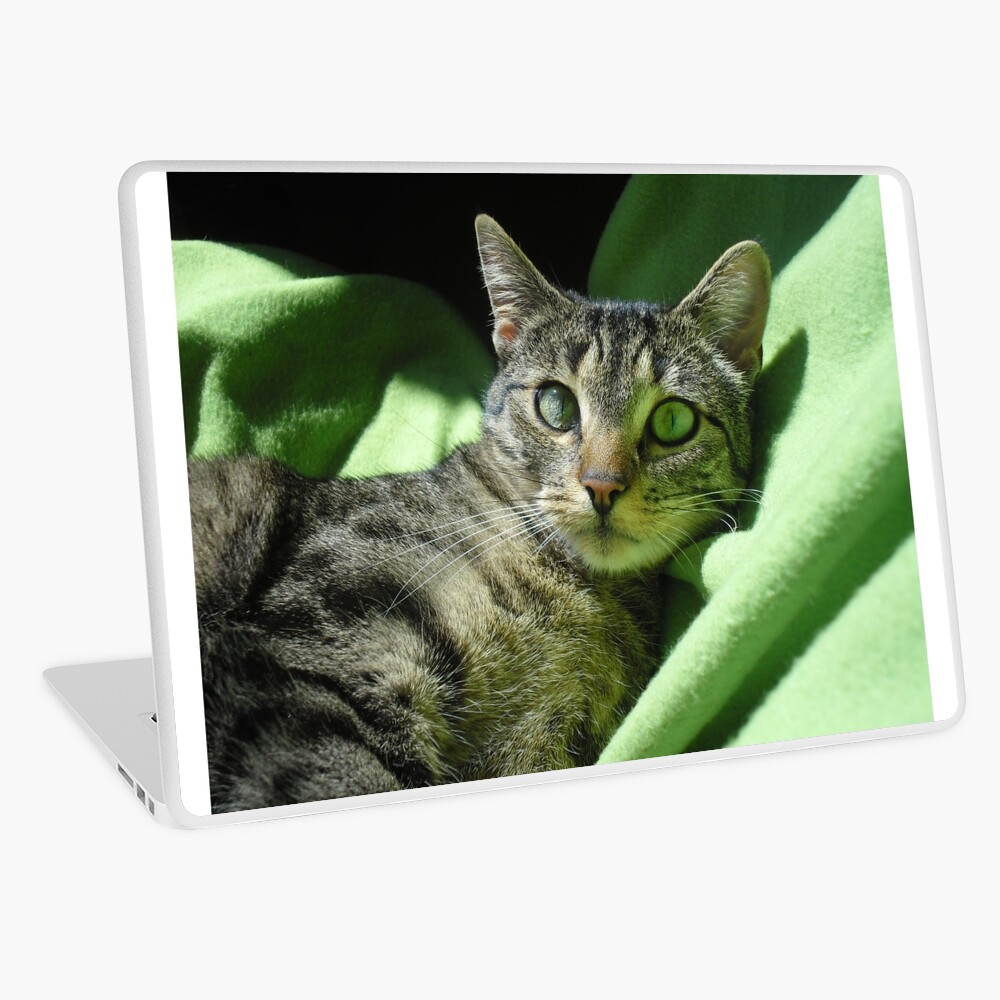 Item preview, Laptop Skin designed and sold by pandamis.