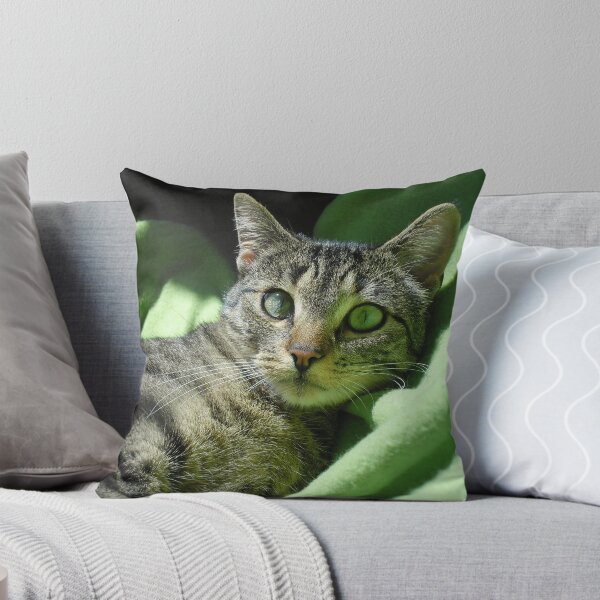 Green eyed cat Throw Pillow