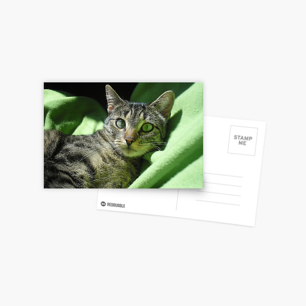 Item preview, Postcard designed and sold by pandamis.
