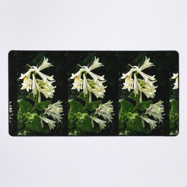 Item preview, Mt Peel Lily designed and sold by coffeebean.