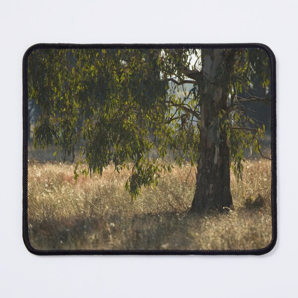 Item preview, Morning Light designed and sold by Linda Lees.