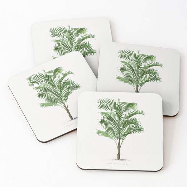 Item preview, Vintage Palm Tree Illustration - "PL. XXXIV_CALAMUS ASPERRIMUS, HORT. O" designed and sold by Studio 679.