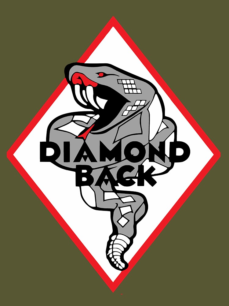 Simple Modern – Diamondback Branding