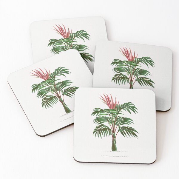 Item preview, Vintage Palm Tree Illustration - "PL. VI._KENTIA (KENTIOPSIS) MACROCARPA, BRGNT. +" designed and sold by Studio 679.