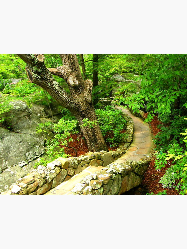 pathway-sticker-for-sale-by-rupprat-redbubble