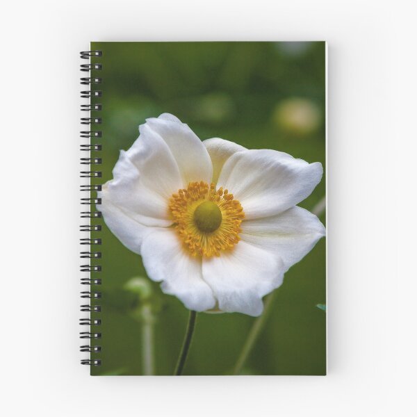 Item preview, White Anemone  designed and sold by PhotosByHealy.
