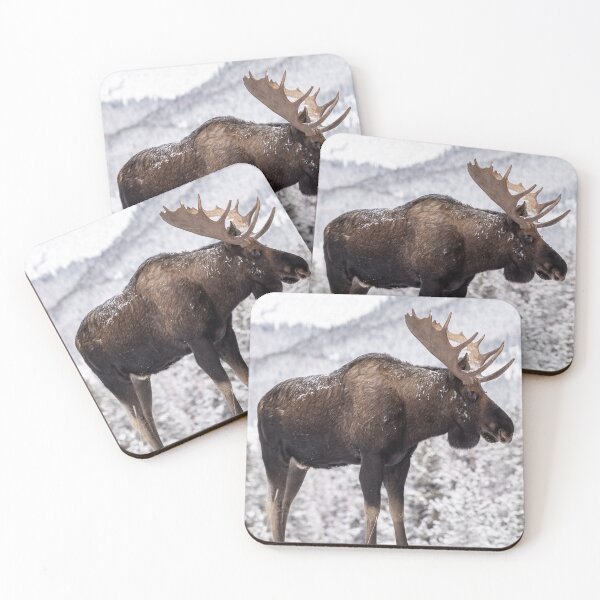 Item preview, Panoramic, Moose canvas, Moose, animal, animals, Moose wall art, Moose artwork, wild, Moose art, Moose painting designed and sold by eyesight4vision.