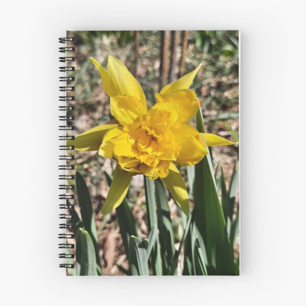 Item preview, double daffodills designed and sold by barbich.