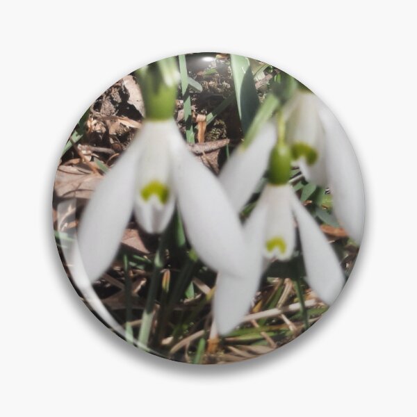 Item preview, sprin at its best... designed and sold by barbich.