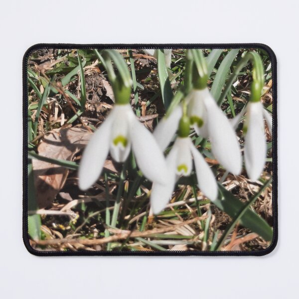 Item preview, sprin at its best... designed and sold by barbich.