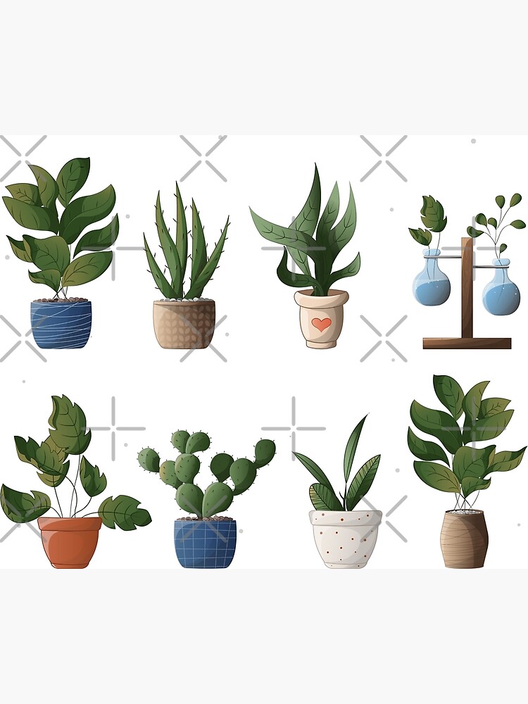 Potager Surélevé En Douglas 1 Mètre Unitaire - Pot De Fleurs - Bac - Jardinière