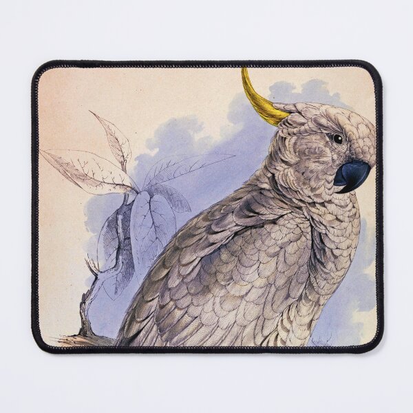 Item preview, Plyctolophus Galeritus. Greater Sulphur-crested Cockatoo, Edward Lear, 1832 designed and sold by Geraldo Garcia.