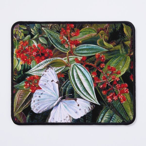 Item preview, Trees Laden with Parasites and Epiphytes in a Brazilian Garden, Marianne North - 1873 designed and sold by Geraldo Garcia.