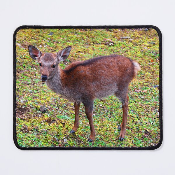 Item preview, Fawn designed and sold by WaterGardens.