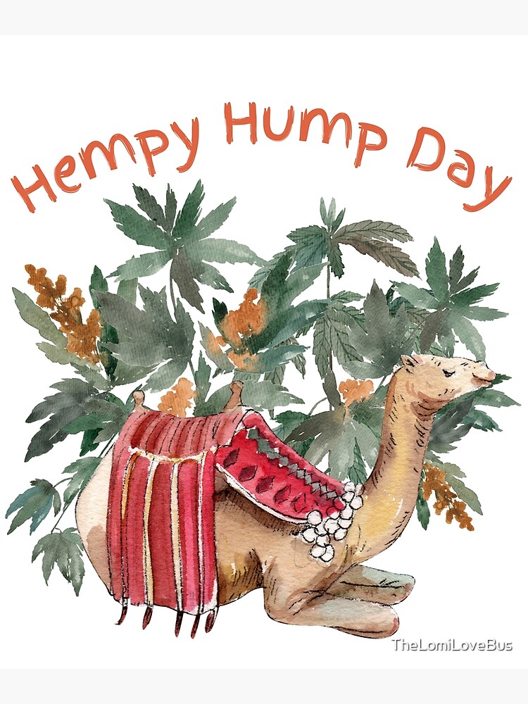 funny hump day ecard