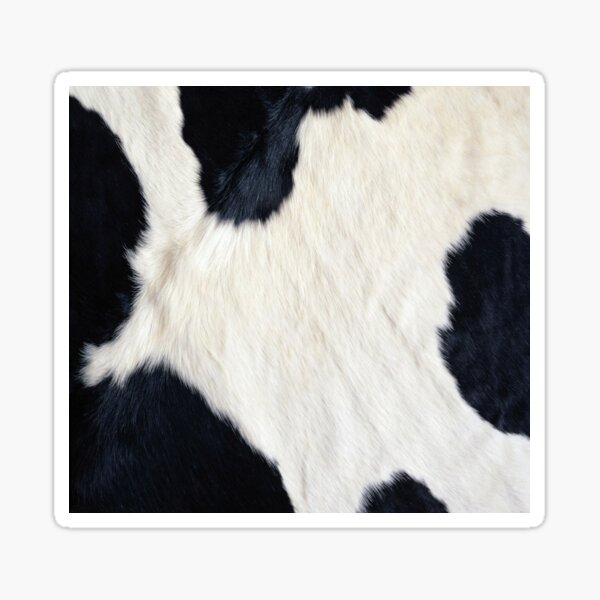Faux Cowhide Black and white Sticker