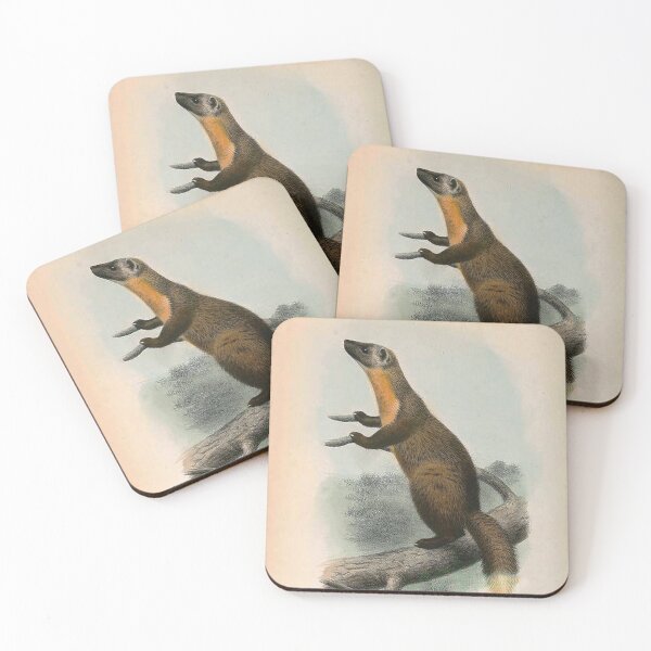 Item preview, Mammals Japanese Marten designed and sold by Geraldo Garcia.
