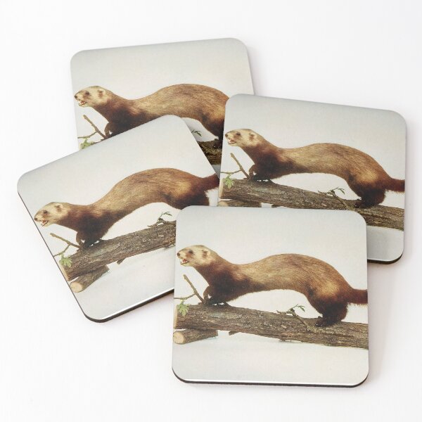 Item preview, Ferret Nature neighbors designed and sold by Geraldo Garcia.
