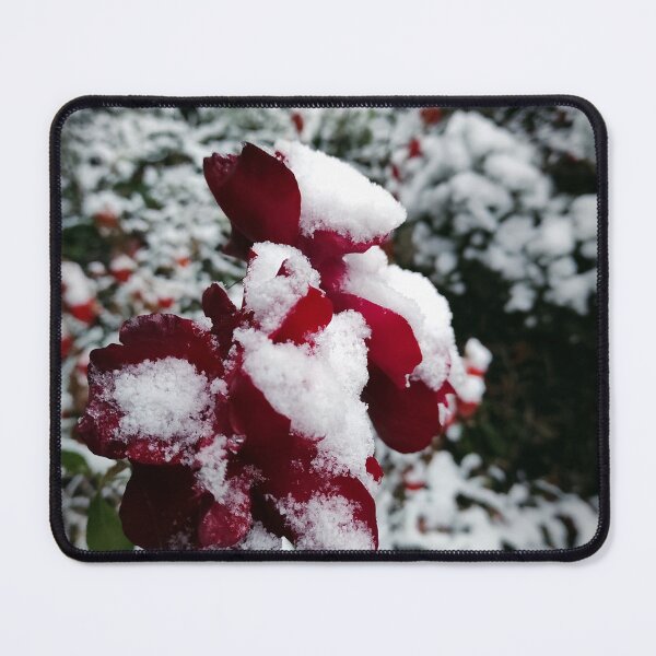 Item preview, Red rose with snow designed and sold by Gourmetkater.