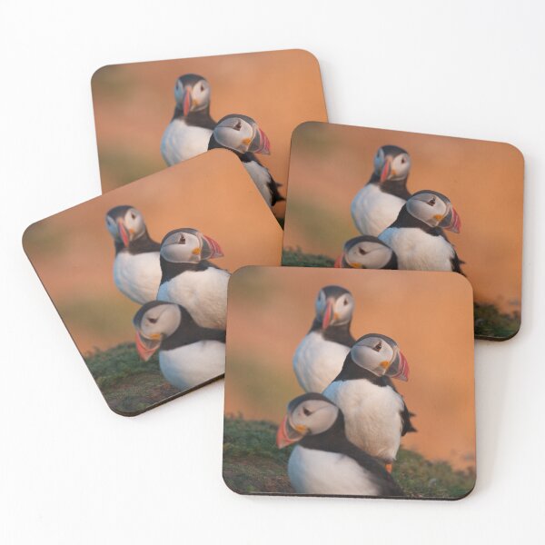 Item preview, Golden Hour Puffin Trio designed and sold by Karen  O'Reilly.