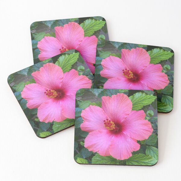 Aperçu de l'œuvre Fleur d'hibiscus rose tropical tenerife créée et vendue par ray-designs-.