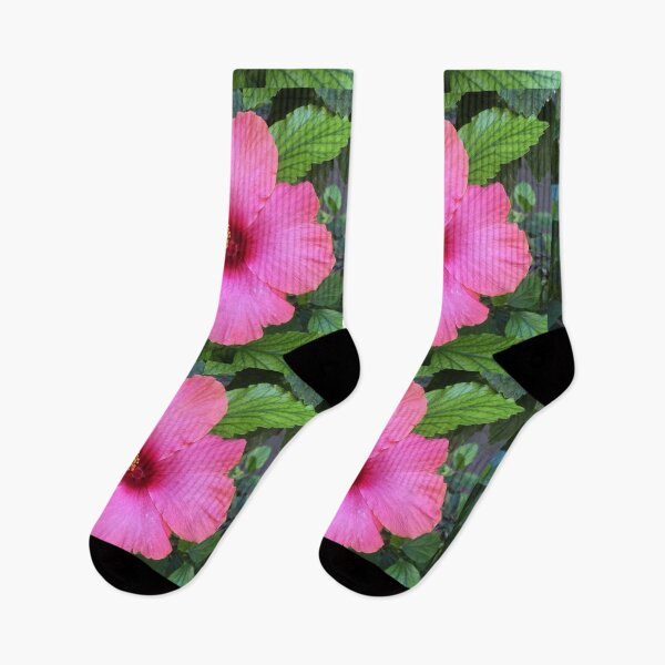 Aperçu de l'œuvre Fleur d'hibiscus rose tropical tenerife créée et vendue par ray-designs-.