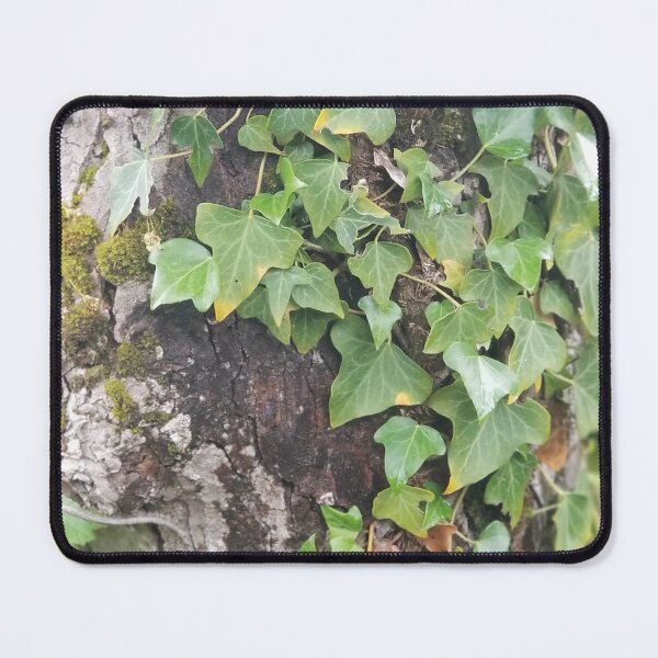 Item preview, Tranquil Ivy designed and sold by CreativeDame.
