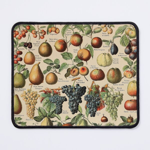 Item preview, Fruits Pour Tous - Adolphe Millot designed and sold by starrylite.