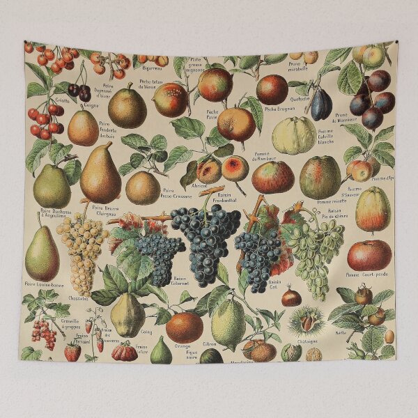 Item preview, Fruits Pour Tous - Adolphe Millot designed and sold by starrylite.