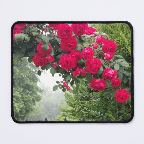 Item preview, Enchanted Rose designed and sold by CreativeDame.