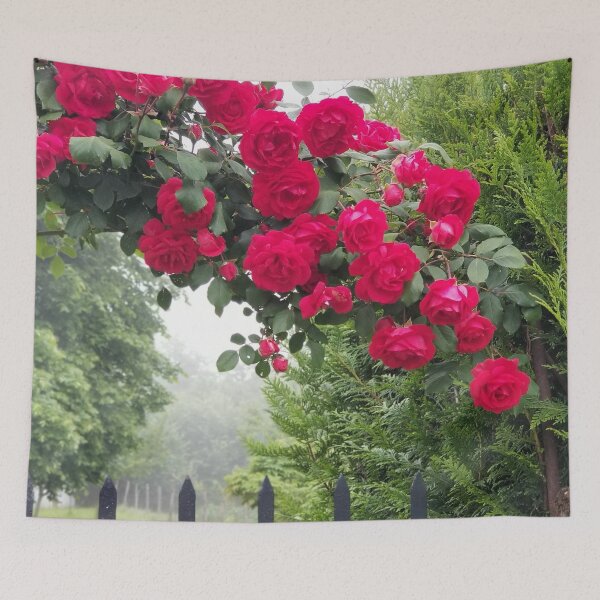 Item preview, Enchanted Rose designed and sold by CreativeDame.