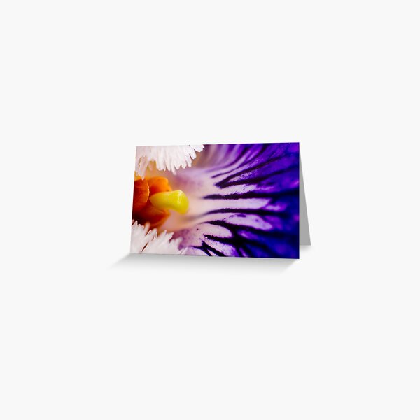 Violet I Greeting Card