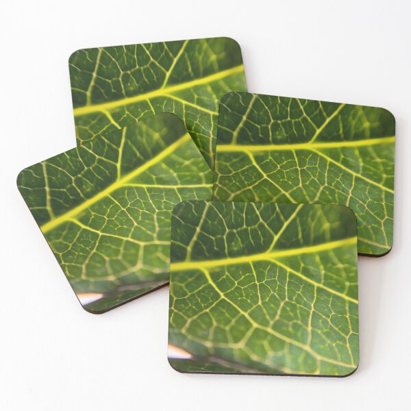 Item preview, Fantastic Macro Leaf Vains designed and sold by MyMacro_Photography (MyMacro).