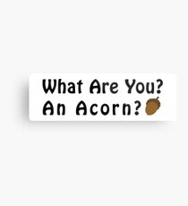 What Are You? An Acorn? Metal Print