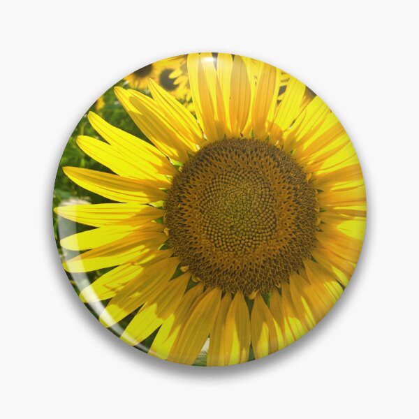 Item preview, sunflower flower designed and sold by IgorKovalenko.
