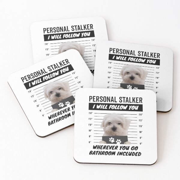 Item preview, Personal Stalker Dog – Maltese designed and sold by More Cute Dogs.